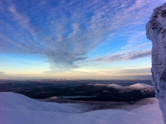 977940_10151670411870915_484381055_o