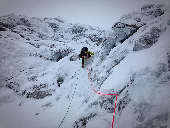 12622206_453767318144604_2281000718509644933_o