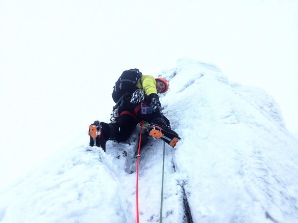 12622259_453767264811276_1077406077812740753_o